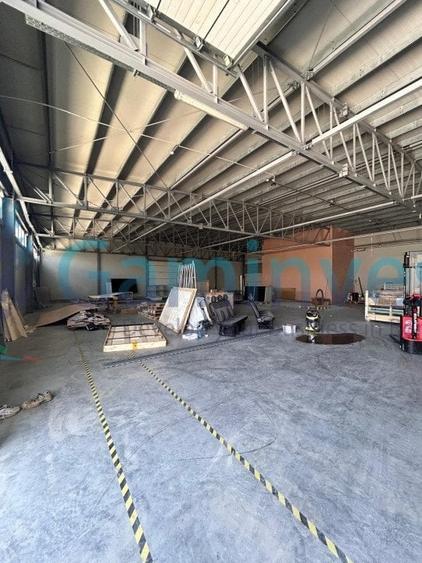 Gaminvest, Hala industriala de vanzare, Parcul industrial Bors, Bihor, V3766A - 2