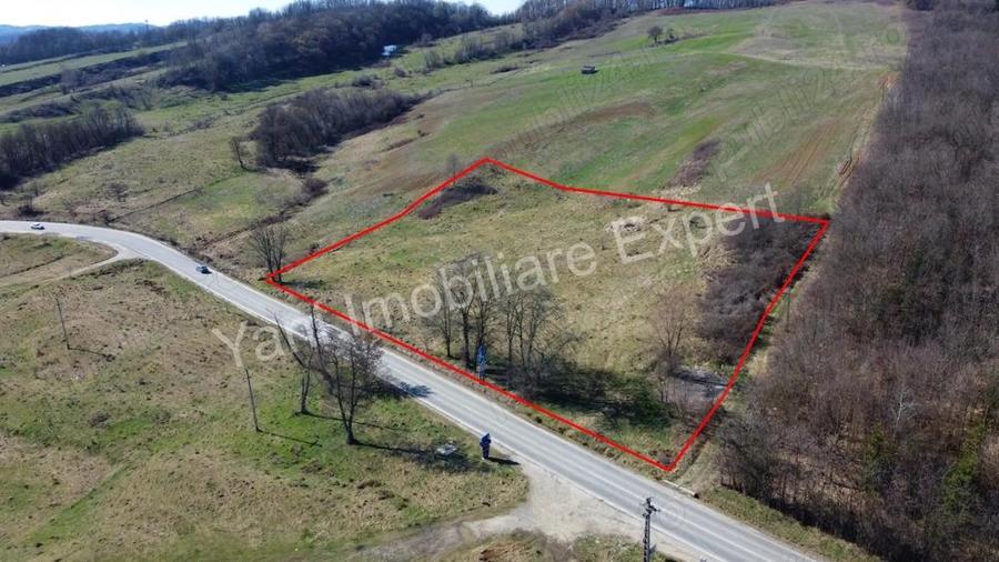 Teren 10.000 mp de vanzare in comuna Valea Ia?ului, jude? Arge?. - 8