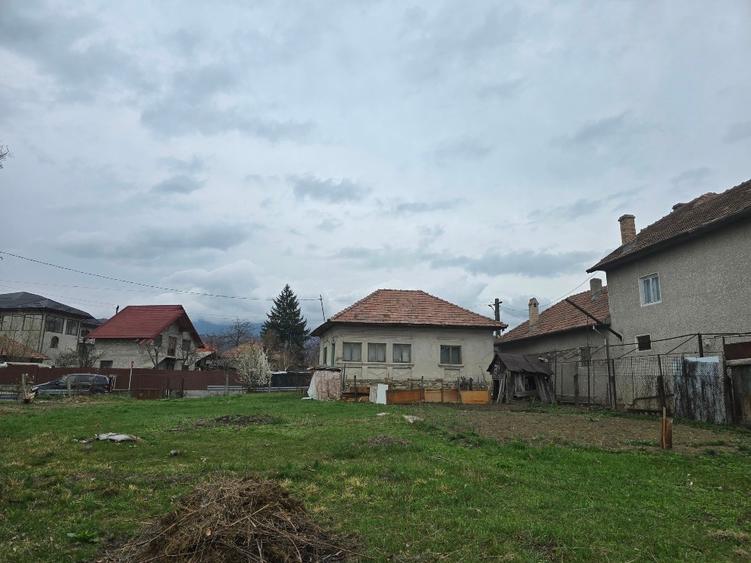 Teren si casa batraneasca Calimanesti - 5
