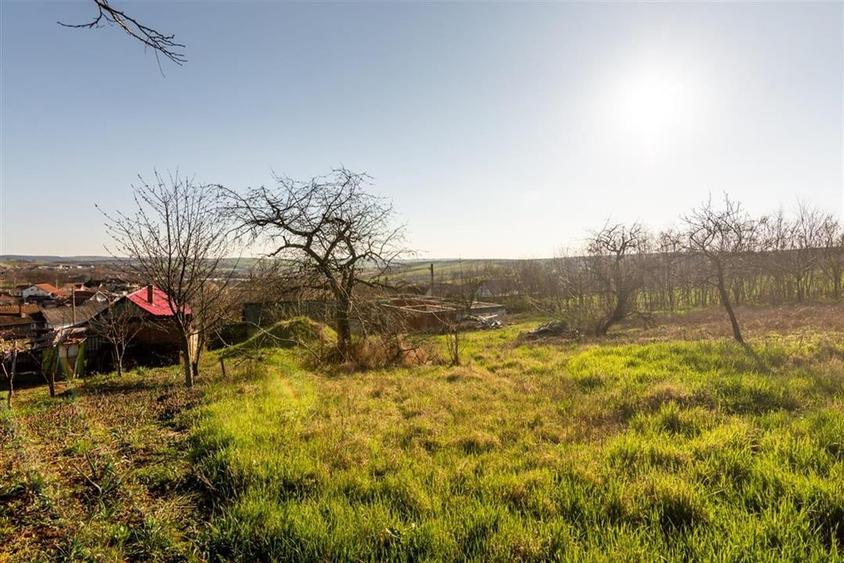 RECO. CASA LA ROSU , CETARIU - 15