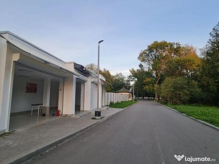 Spatii Comerciale trafic intens Teatrul de vara Neptun - 5