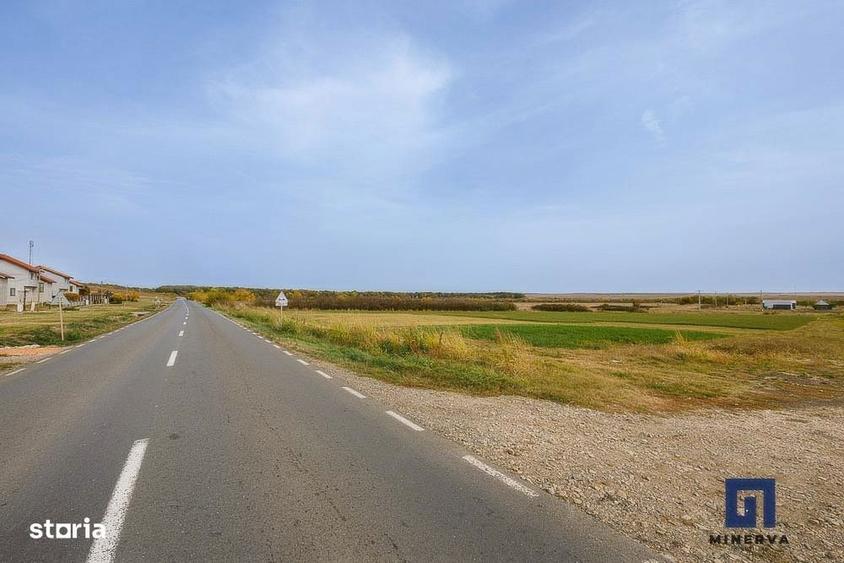 Teren ideal ca investitie, 19000 mp, in Pischia pe DJ691, comision 0 - 6