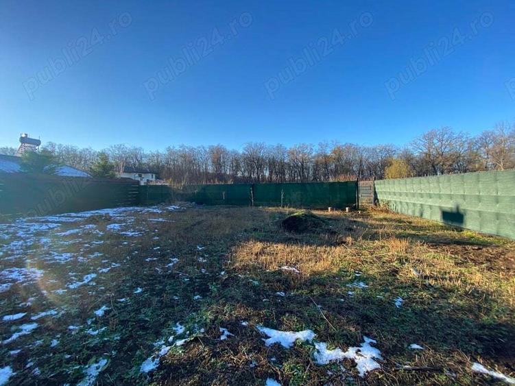 Cabana din lemn in zona padure - 4