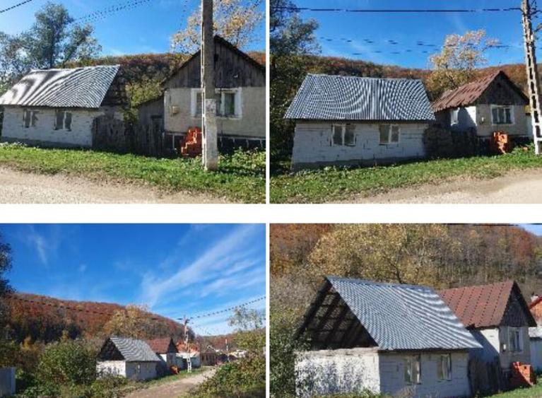 Casa si teren- Loc. Dognecea, jud. Caras-Severin - 1