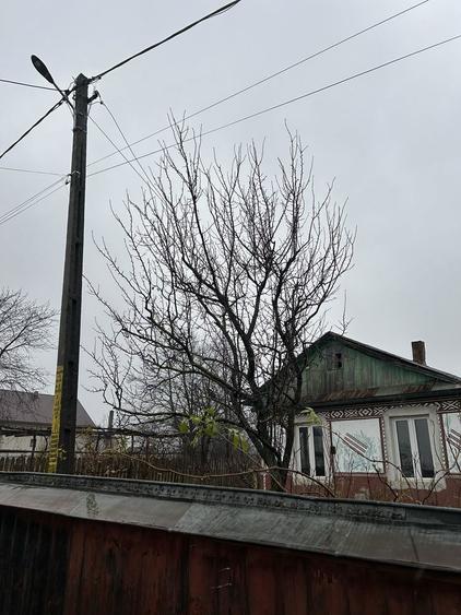 Teren+casa batraneasca - 4