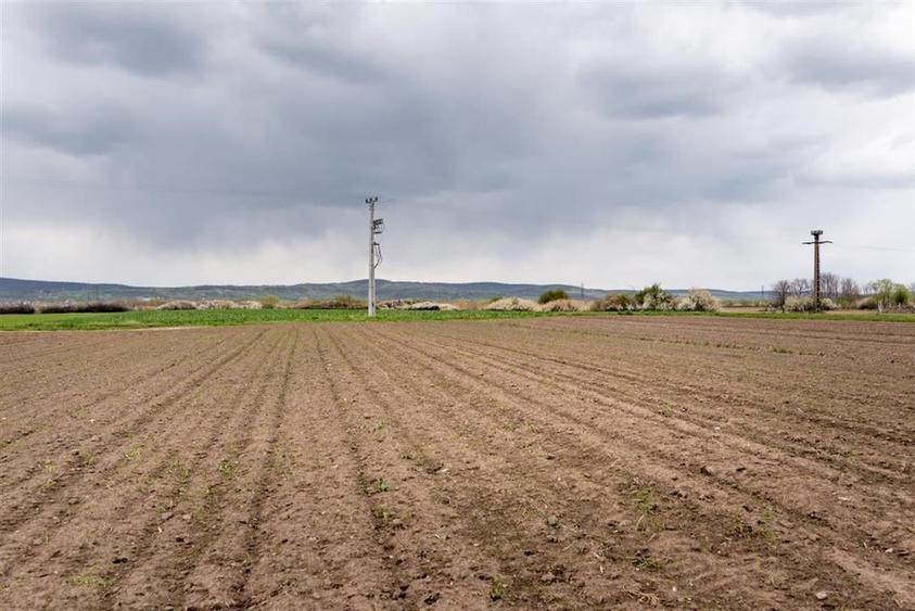 RECO . TEREN INTRAVILAN OSORHEI - 5