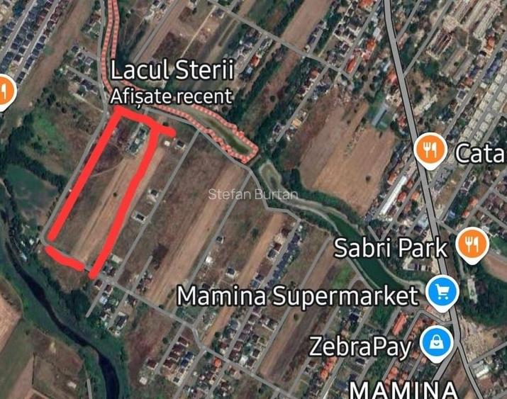 TEREN INTRAVILAN COMUNA BERCENI - MAMINA