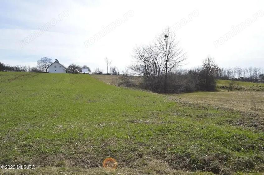 Suseni - Teren intravilan rezidential, suprafata 4000 mp - 2