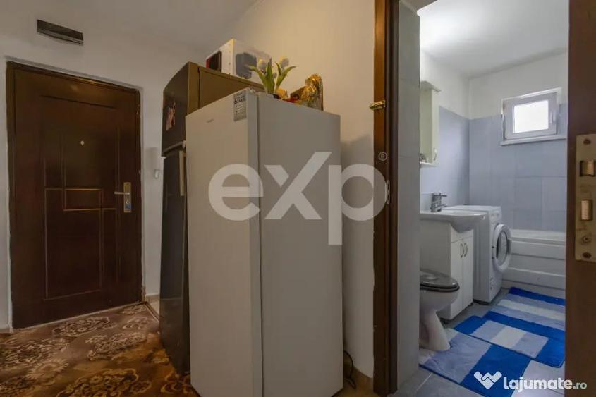 De vanzare apartament 2 camere in Buzias - 10