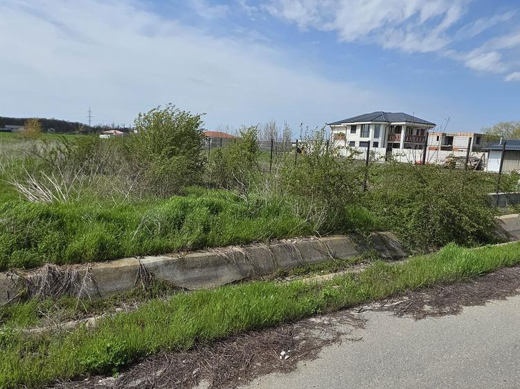 Cornetu, Buda, str. Scolii, teren vanzare - 3