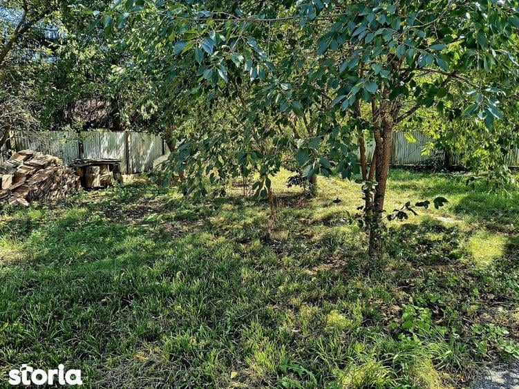 Casa de vacanta, Bradet-Brasov, Oportunitate Investitie! - 7