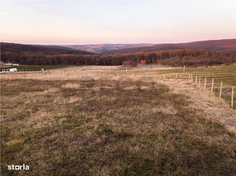 RECO Teren intravilan in Saldabagiu de Munte - 1