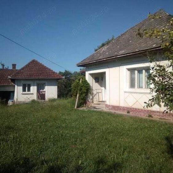 Loc. Basesti (jud. MM) casa de vanzare cu 8.000 mp teren - 1