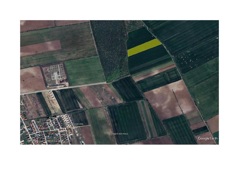 Teren Padurea Oracu - 2