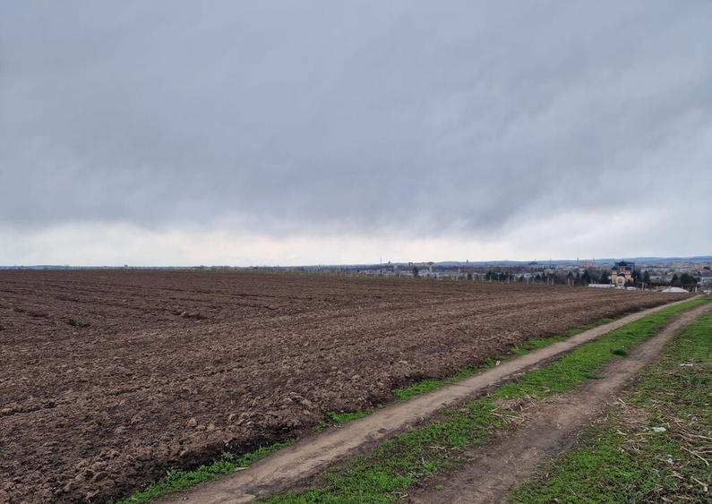 Teren 10,000mp Bacau / Strada Alexandru Safran - 8