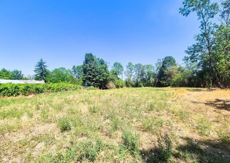 Casa , teren intravilan Urlueni Barla Arges - 4