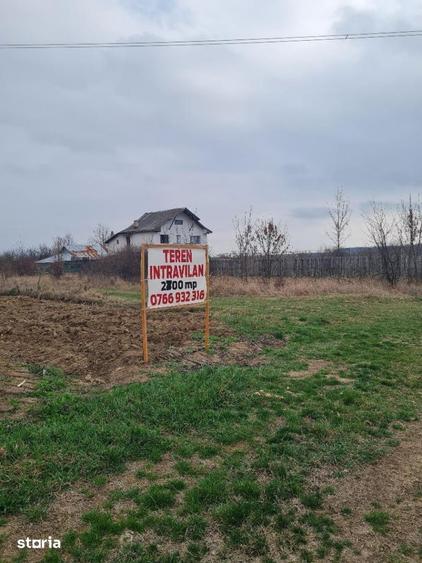 Teren de 5500 mp, în Albota