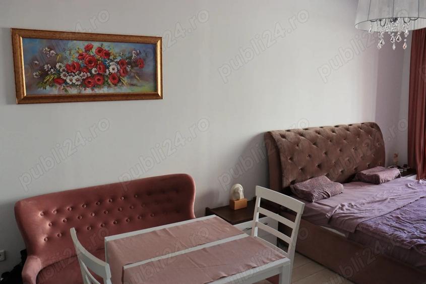 Studio Sinaia Resedinta Belleview - 2