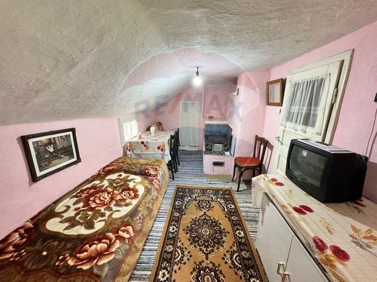 Casă traditionala cu potential de vânzare-HEMEIUS - 13