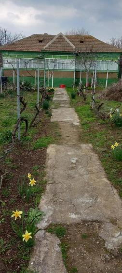 Casa batraneasca 2 corpuri - loc. Mircea Voda, Tulcea - 2