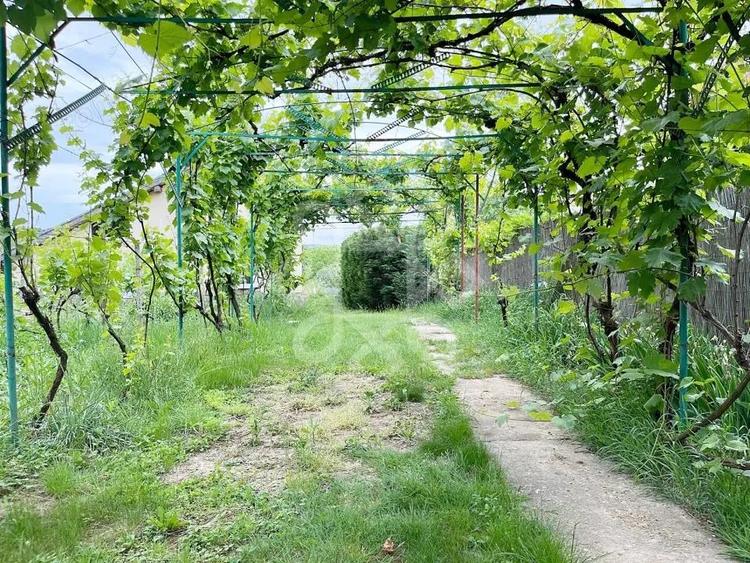 Casa cu teren 2052 mp in Saldabagiu de Munte - 15