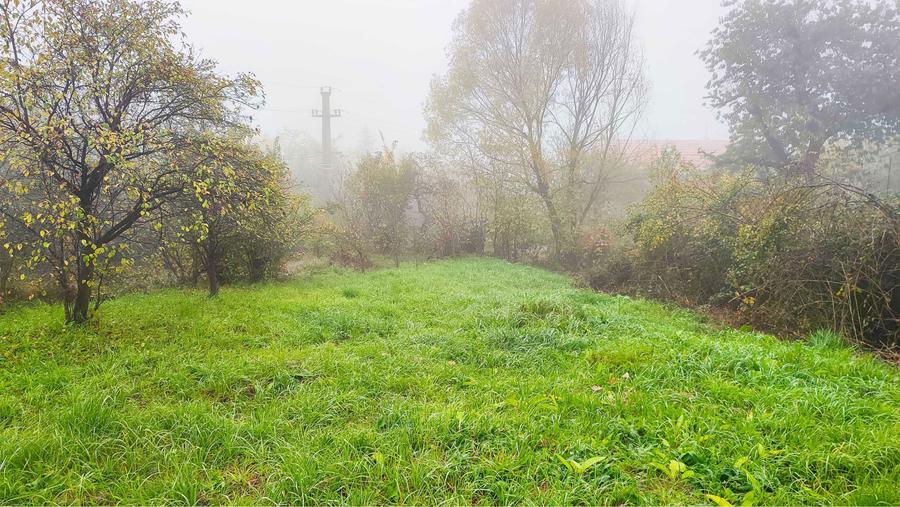 Teren intravilan 1319 mp Podgoria de vanzare - 3