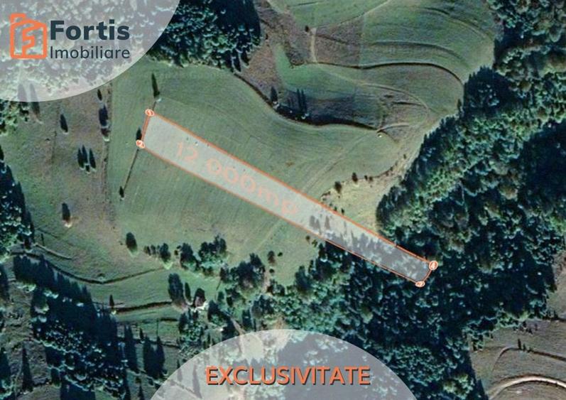 Teren zona de interes turistic 12 000 mp - 1