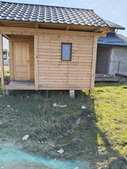 Ilfov, oras Magurele - 2