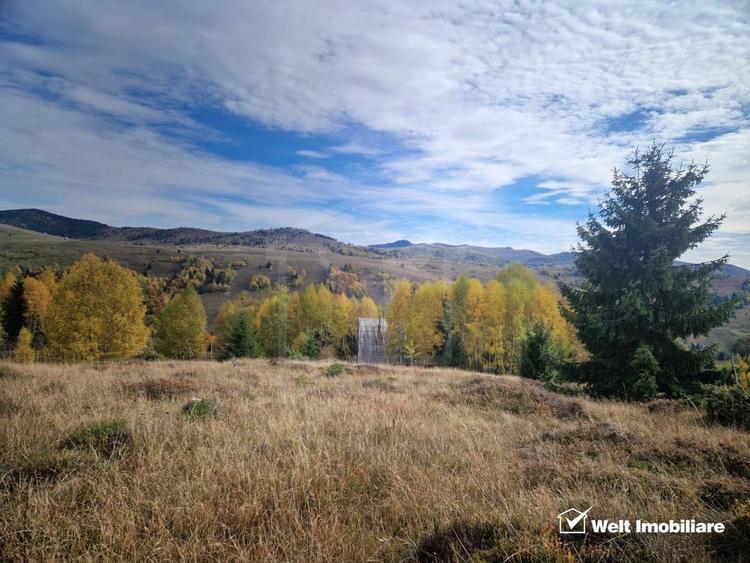 Teren de vanzare – Muntele Baisorii, 1000 mp, vedere spre rezervatia Belioara - 4