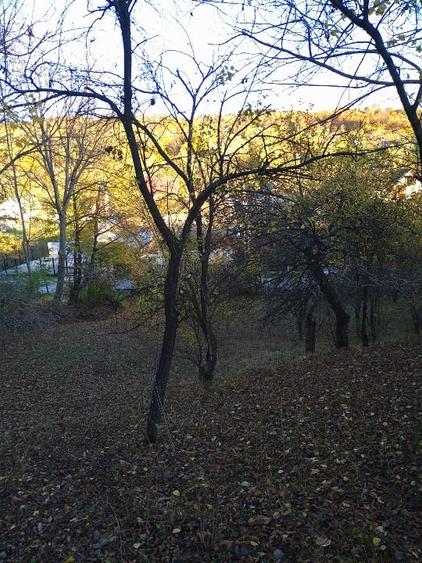 Teren intravilan 3.788 mp, deschidere 39 m, Fieni, sat Costești, jud. Dâmbovița - 7