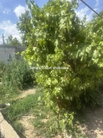 Vanzari Terenuri Straulesti - 2