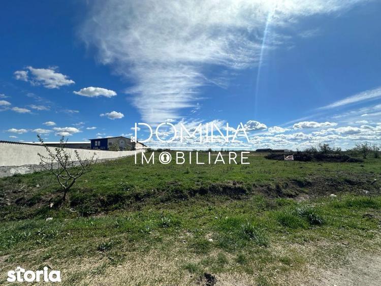 Vanzare teren intravilan 10.339 mp -dubla deschidere- str. Narciselor - 2