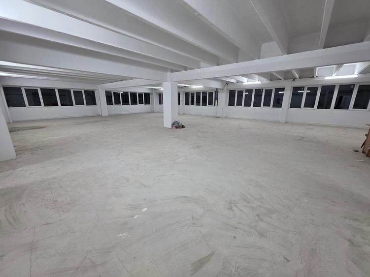 Theodor Pallady, 10 minute metrou 1 Decembrie 1918, stradal - 10