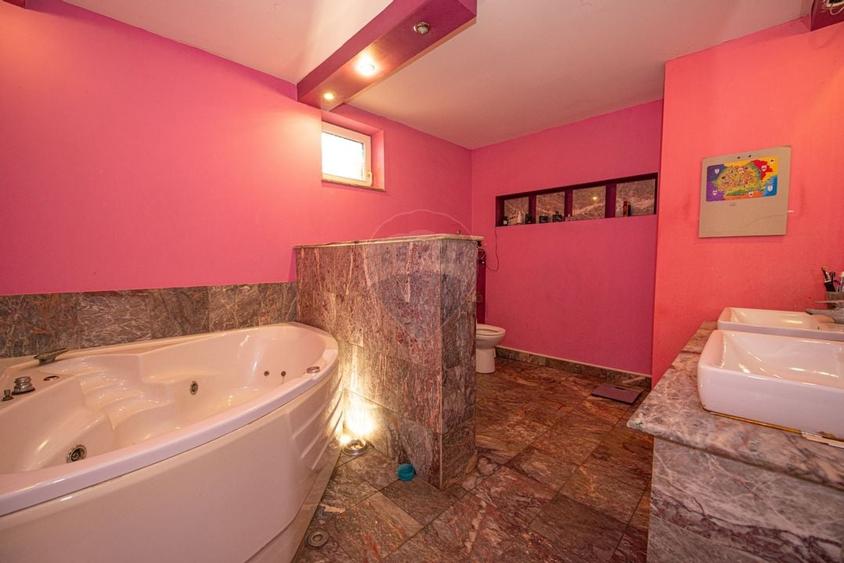 Casa 9 camere de vanzare 1200mp teren Cornetu Padure Lac Mihailesti - 12