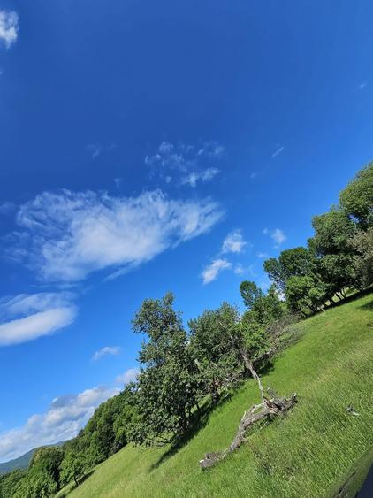 Teren de vanzare Cisnadioara - 1