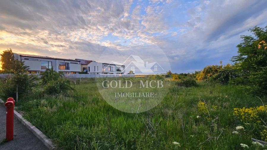 Teren - Oras Otopeni  -Mega Image - 4