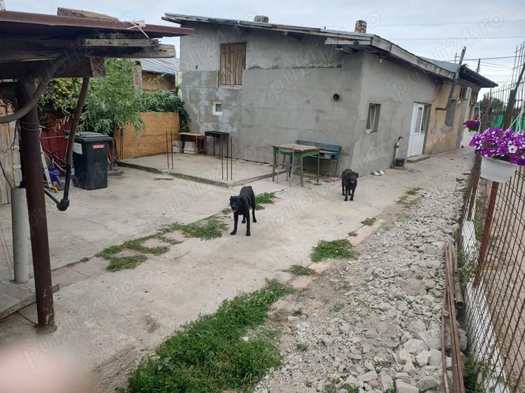 Casa de vanzare - 3