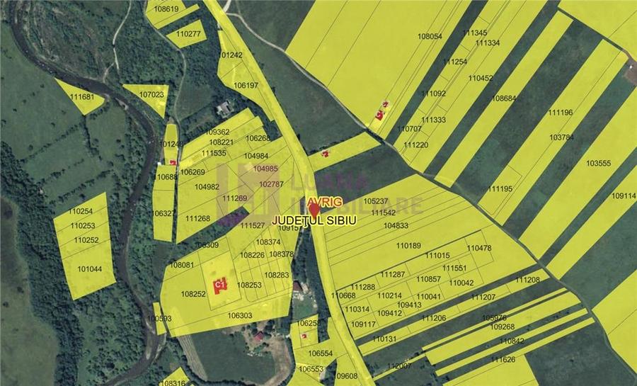 Teren intravilan 5.000 mp | Valea Avrigului | front dublu - 3