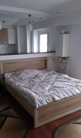 Apartament cu 1 camera, decomandat, Gara-Arcu - 4