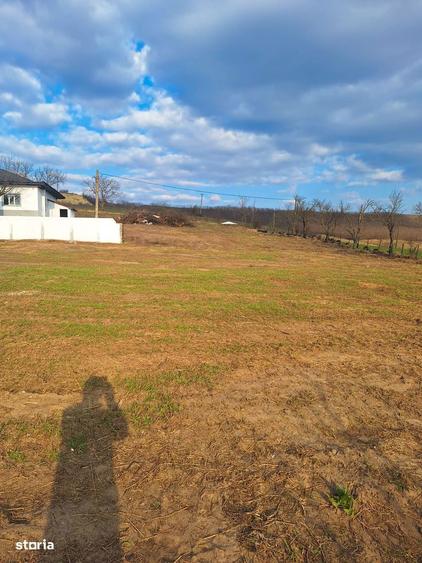 Domeniul Solesti: locuinta si oportunitate de business - 1