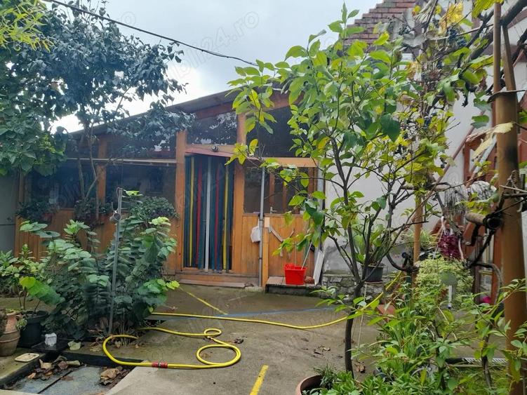 O casa cu suflet, gradina roditoare ?i spa?ii pline de lumina - 3