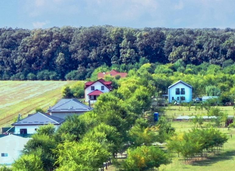 Ilfov, teren premium la Codrii Vlasiei comunitate privata vecini milionari - 4