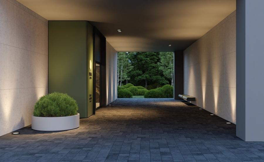 Prima Astera- studio- cesiune - 3