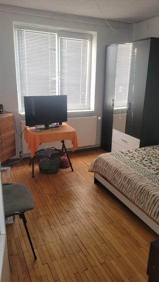 Colentina Teiul Doamnei - 6