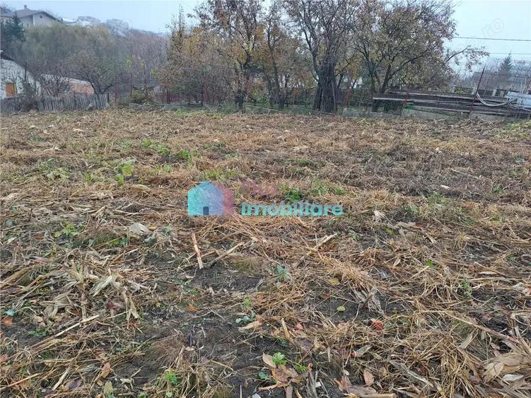 Teren intravilan 1610 mp Sf. Ilie - 4