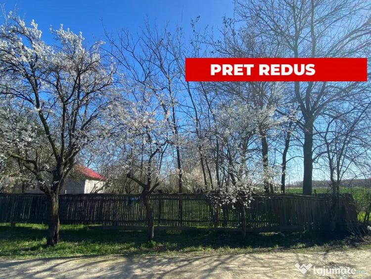 Teren 4975 mp situat in intravilanul satului Belciug, Dragan - 13