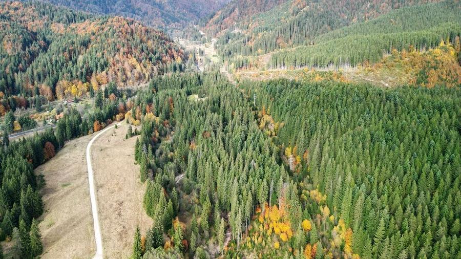 Poiana lui Manole - teren Intravilan - 25