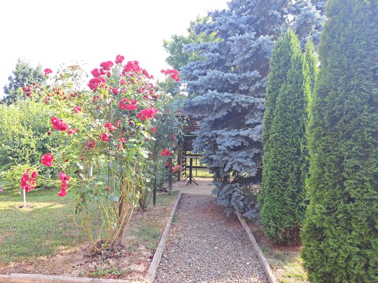 VILA IN REGIM DE INALTIME PARTER SI ETAJ ULTRAFINISATA PE 19 ARI TEREN - 9