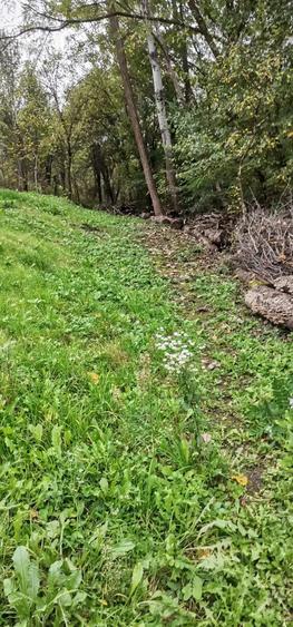 Casa de vanzare - teren 2357 mp in comuna Pietrari - 2