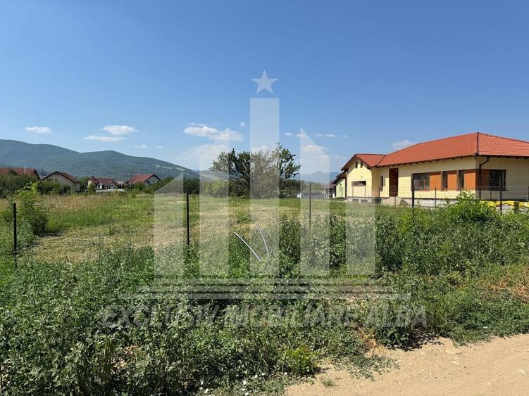 Teren intravilan | 2900 mp | 17 ml deschidere | Alba-Micesti - 3